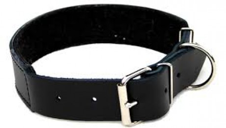 stažený soubor (8)